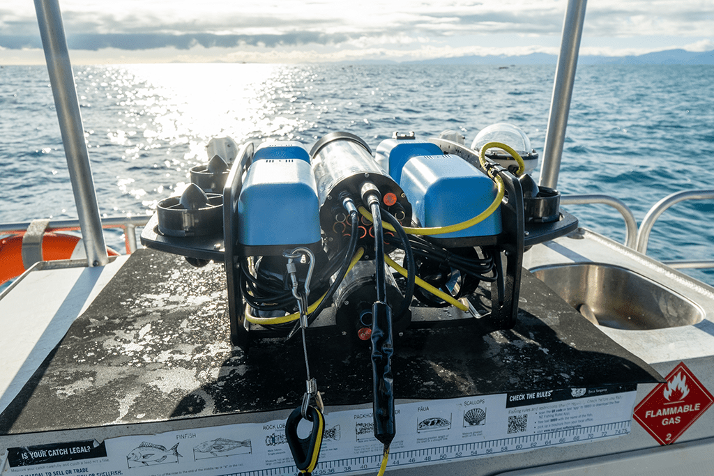 Autonomous underwater vehicle (AUV)