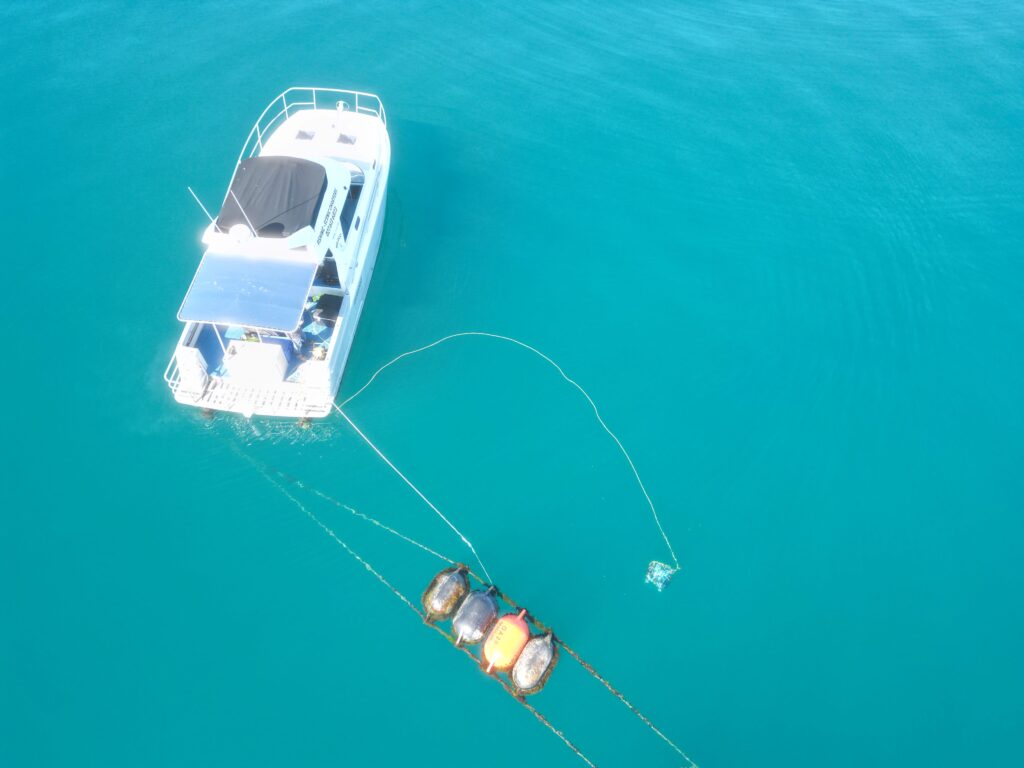 Overhead shot of AUV scanning mussel farm